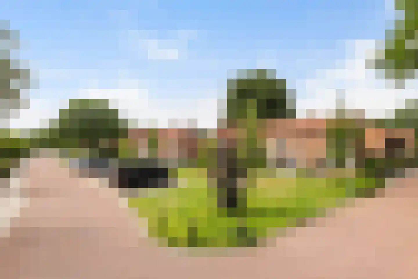 Kernhoopweg 95 't Harde thumbnail 4