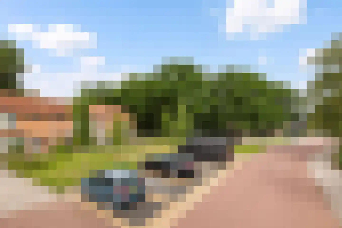 Kernhoopweg 95 't Harde thumbnail 5