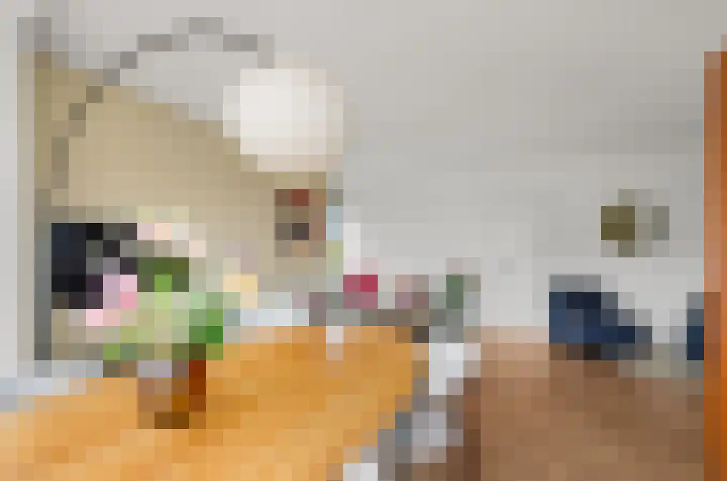 Kernkampplantsoen 37 Utrecht thumbnail 13