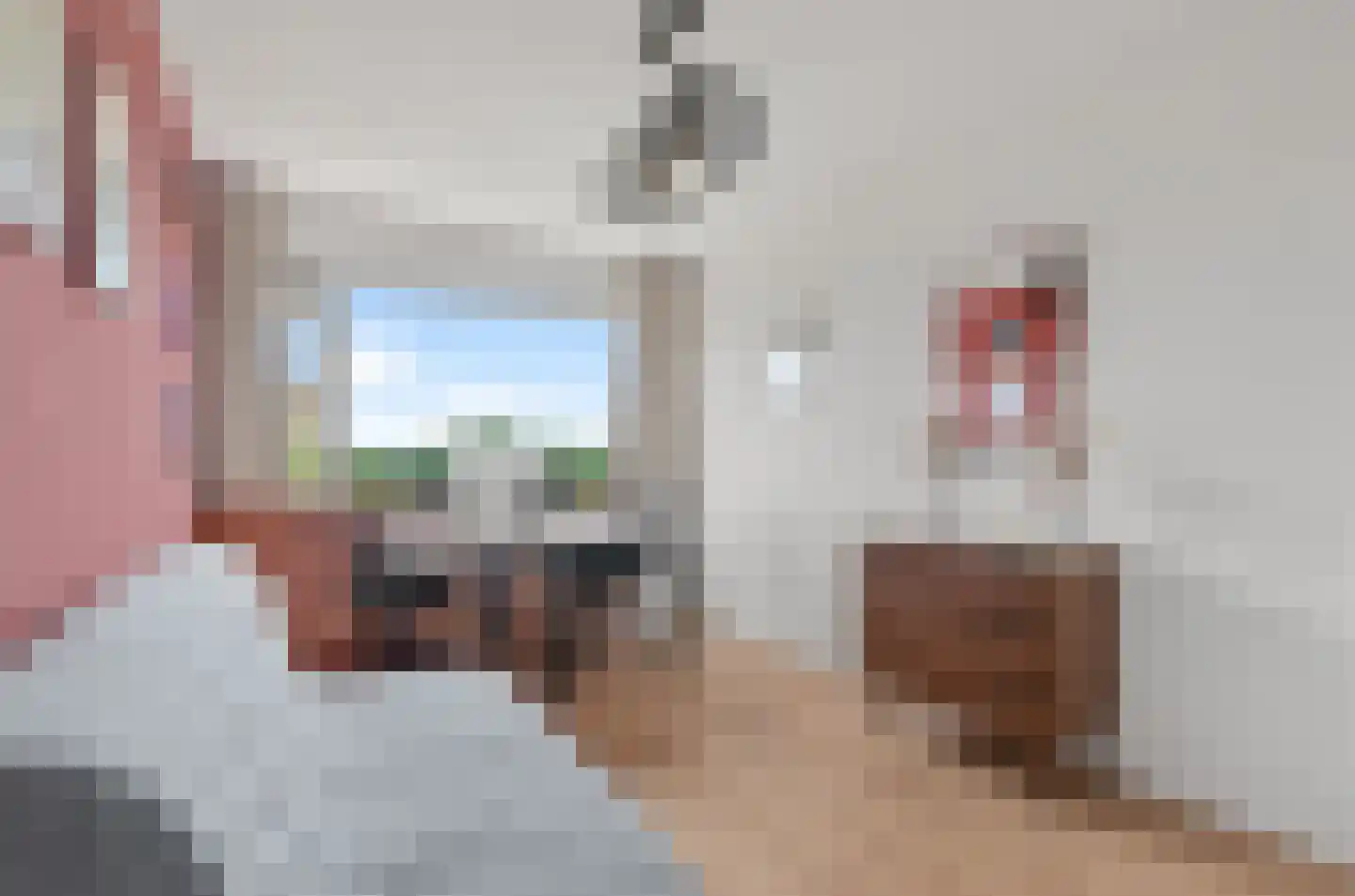 Kernkampplantsoen 37 Utrecht thumbnail 24