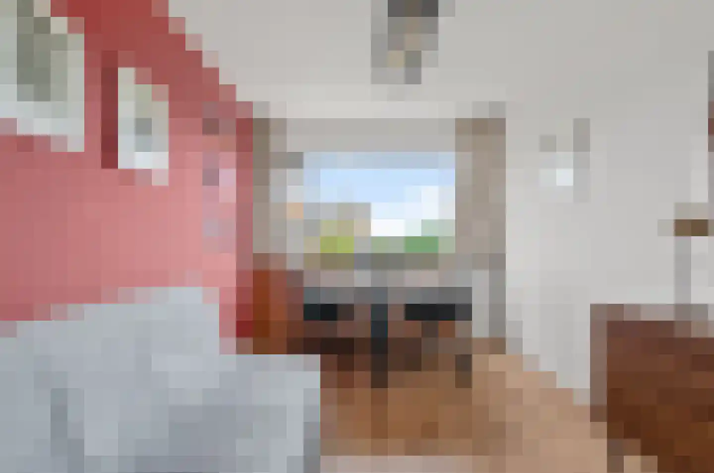 Kernkampplantsoen 37 Utrecht thumbnail 25