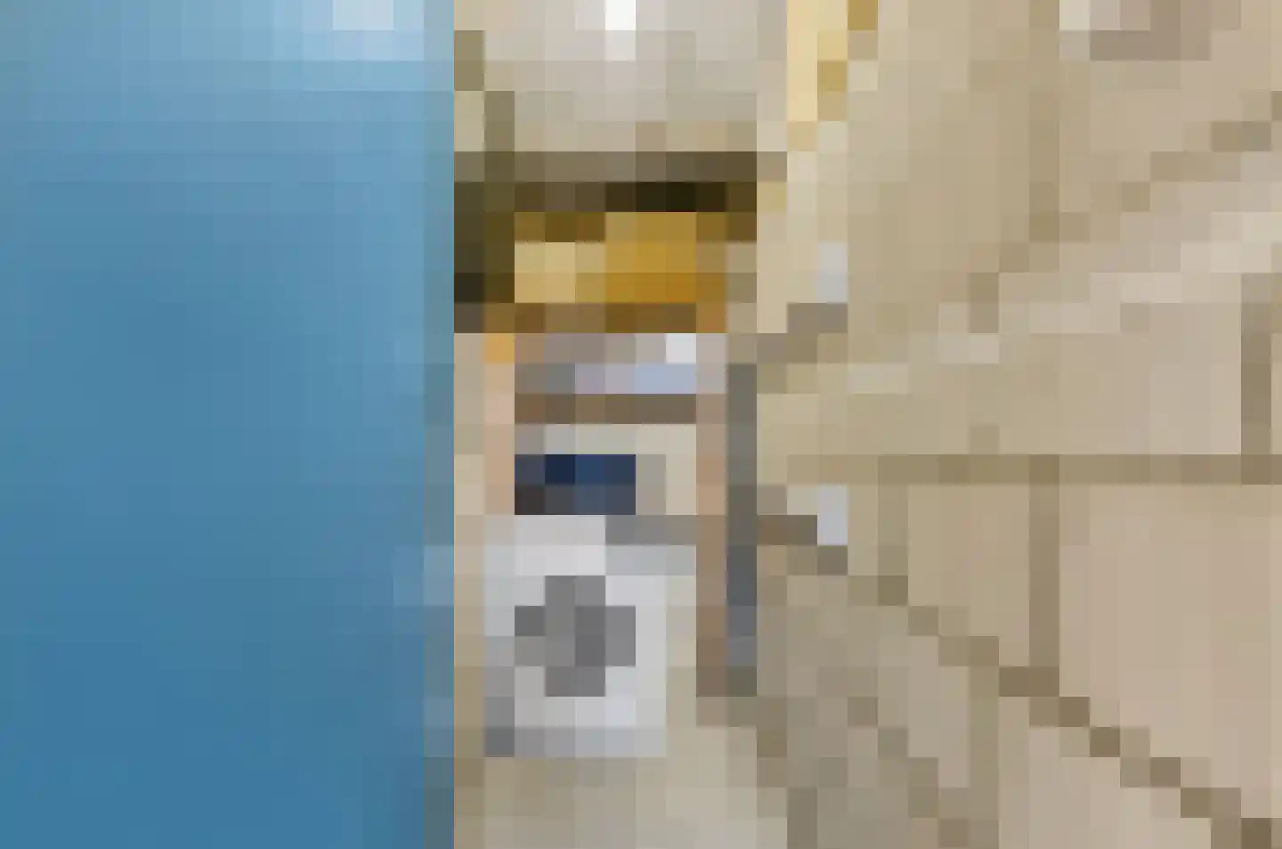 Kernkampplantsoen 37 Utrecht thumbnail 31