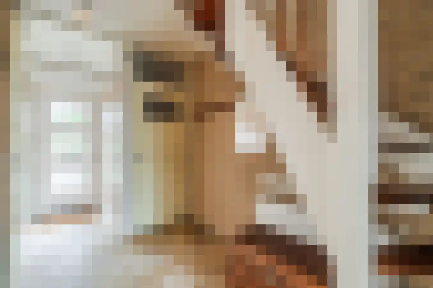 Kernkampplantsoen 4 Utrecht thumbnail 21