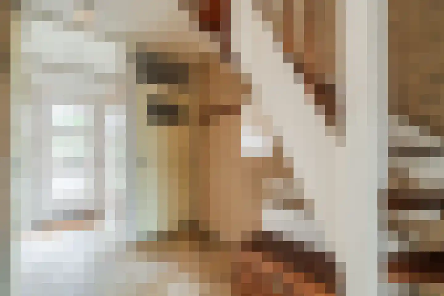 Kernkampplantsoen 4 Utrecht thumbnail 21