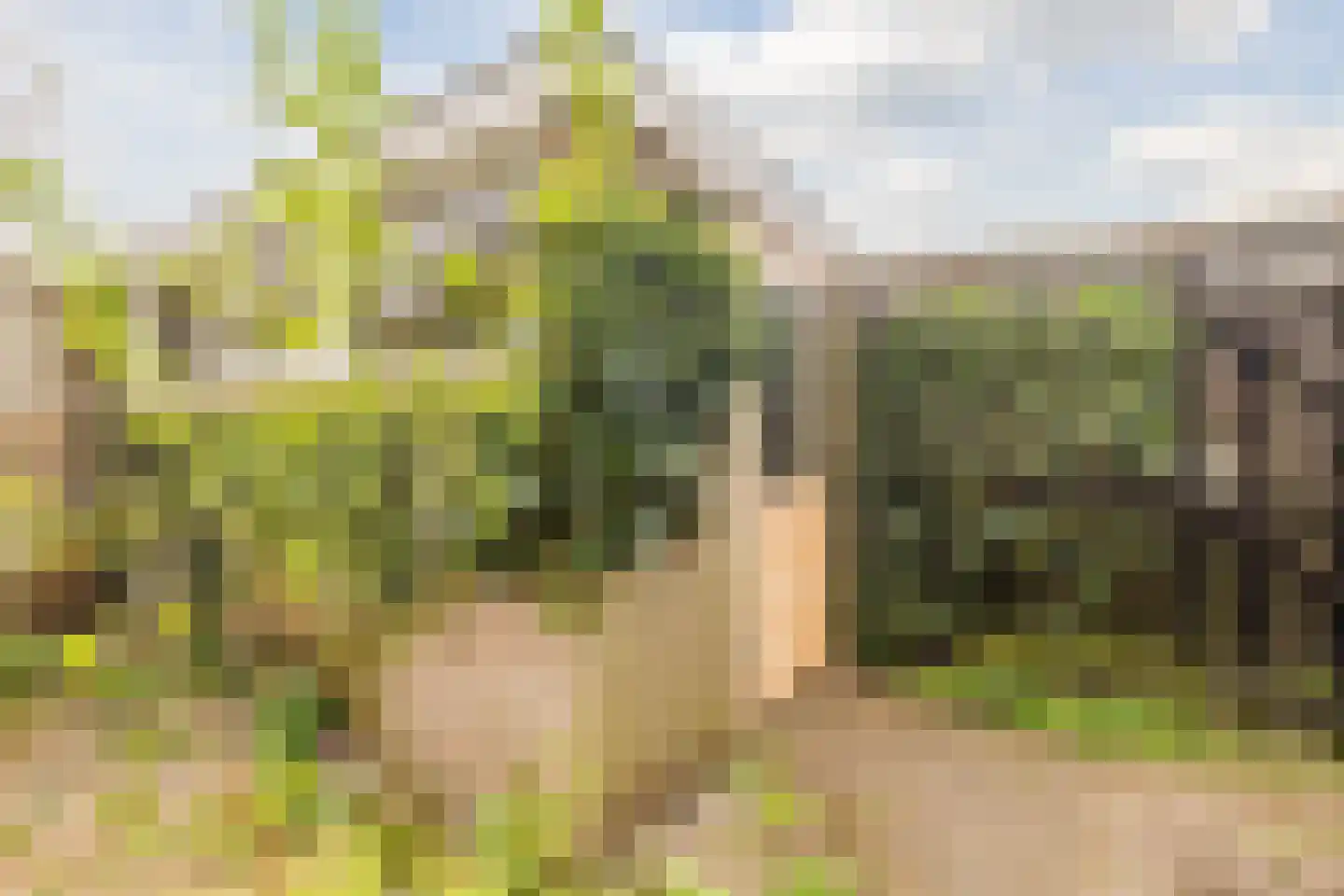 Kernkampplantsoen 4 Utrecht thumbnail 54