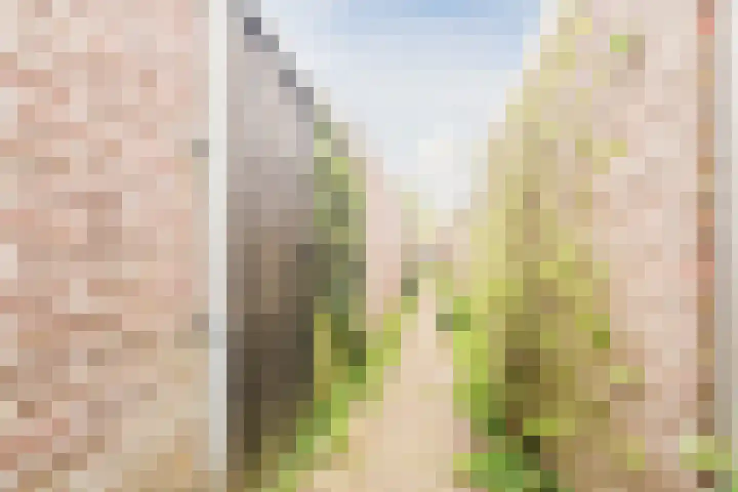 Kernkampplantsoen 4 Utrecht thumbnail 57