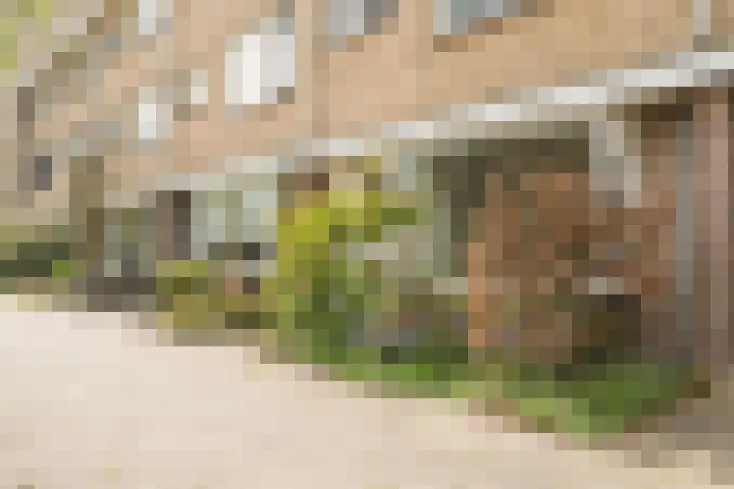 Kernkampplantsoen 4 Utrecht thumbnail 63