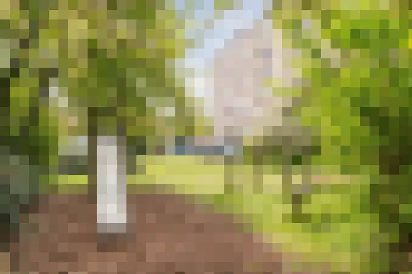 Kernkampplantsoen 4 Utrecht thumbnail 64