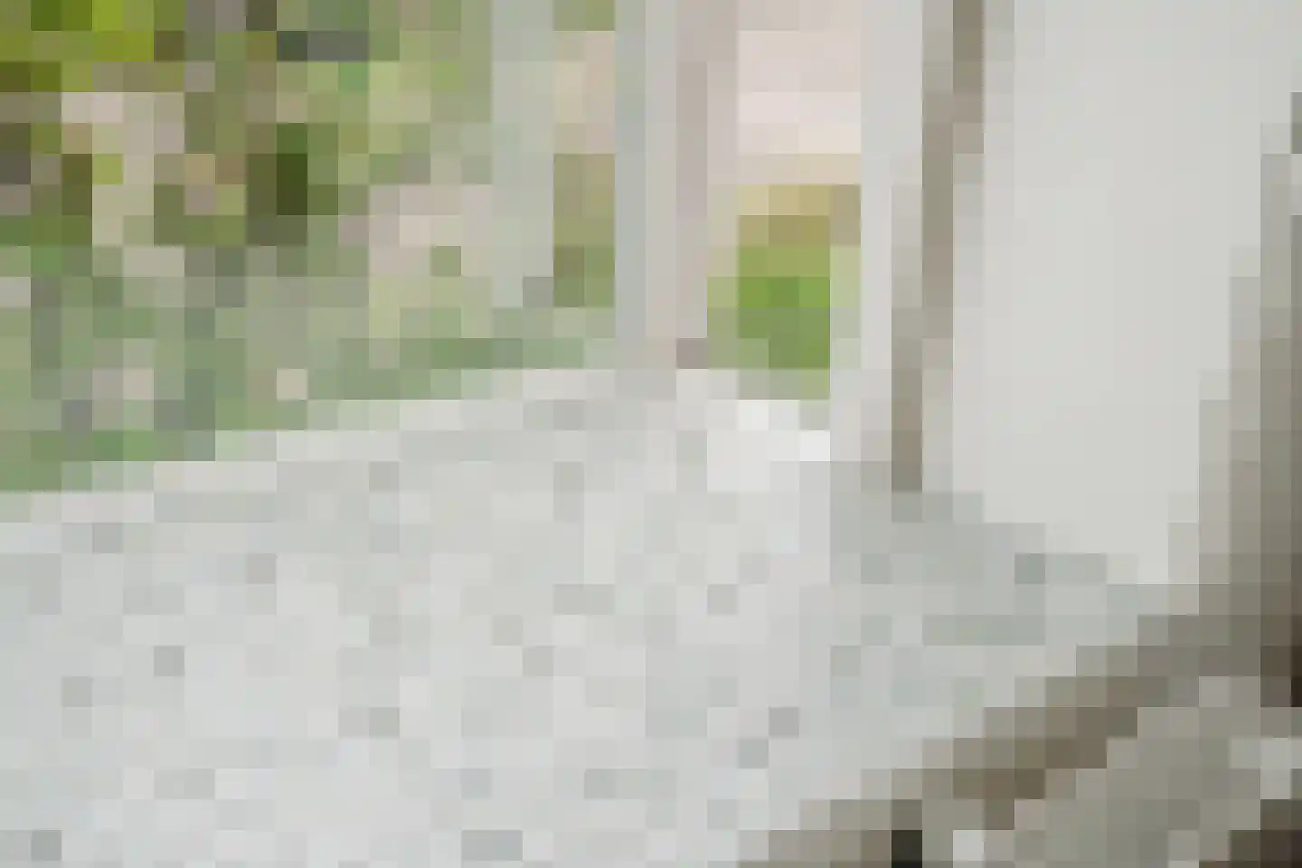 Kernkampplantsoen 4 Utrecht thumbnail 9