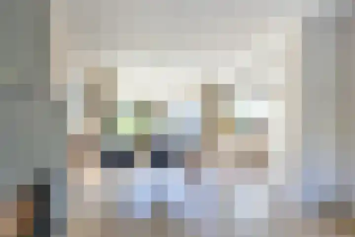 Kernkampplantsoen 91 Utrecht thumbnail 14