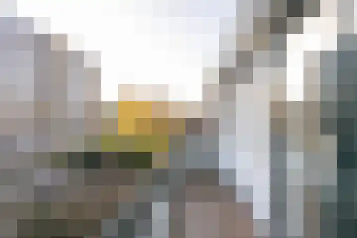 Kernkampplantsoen 91 Utrecht thumbnail 37
