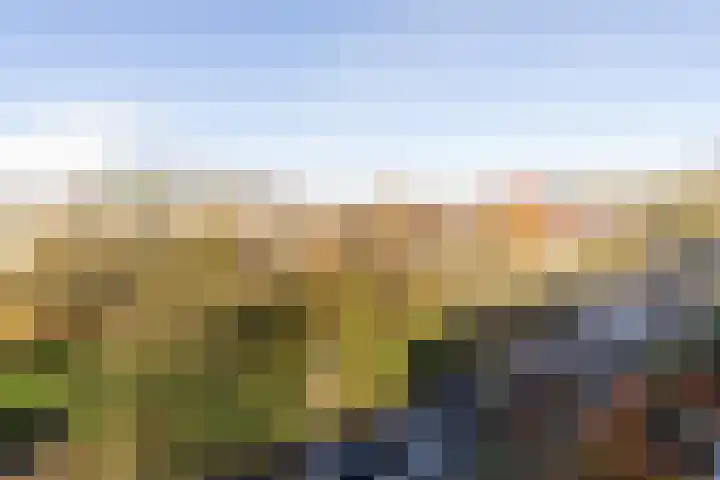 Kernkampplantsoen 91 Utrecht thumbnail 41