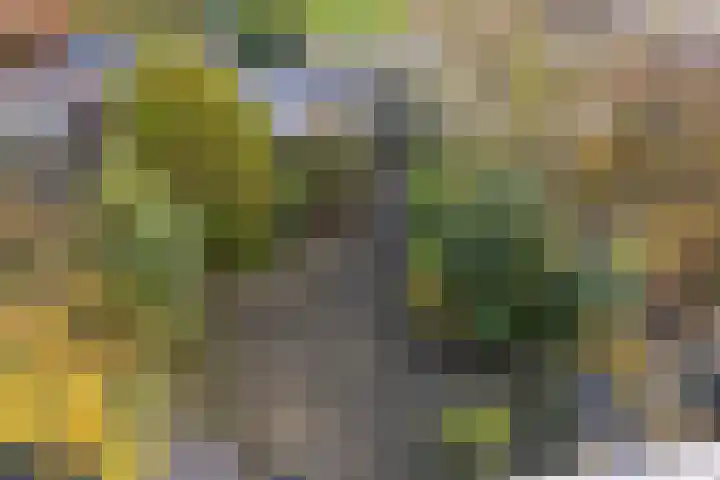 Kernkampplantsoen 91 Utrecht thumbnail 45