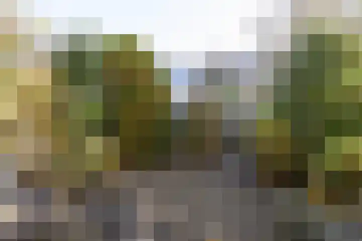 Kernkampplantsoen 91 Utrecht thumbnail 46