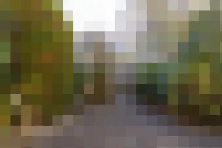Kernkampplantsoen 91 Utrecht thumbnail 48