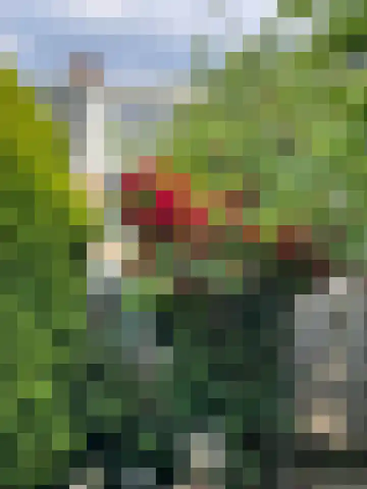 Kernkampplantsoen 91 Utrecht thumbnail 49