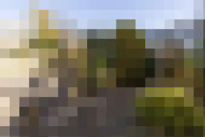 Kernkampplantsoen 91 Utrecht thumbnail 5