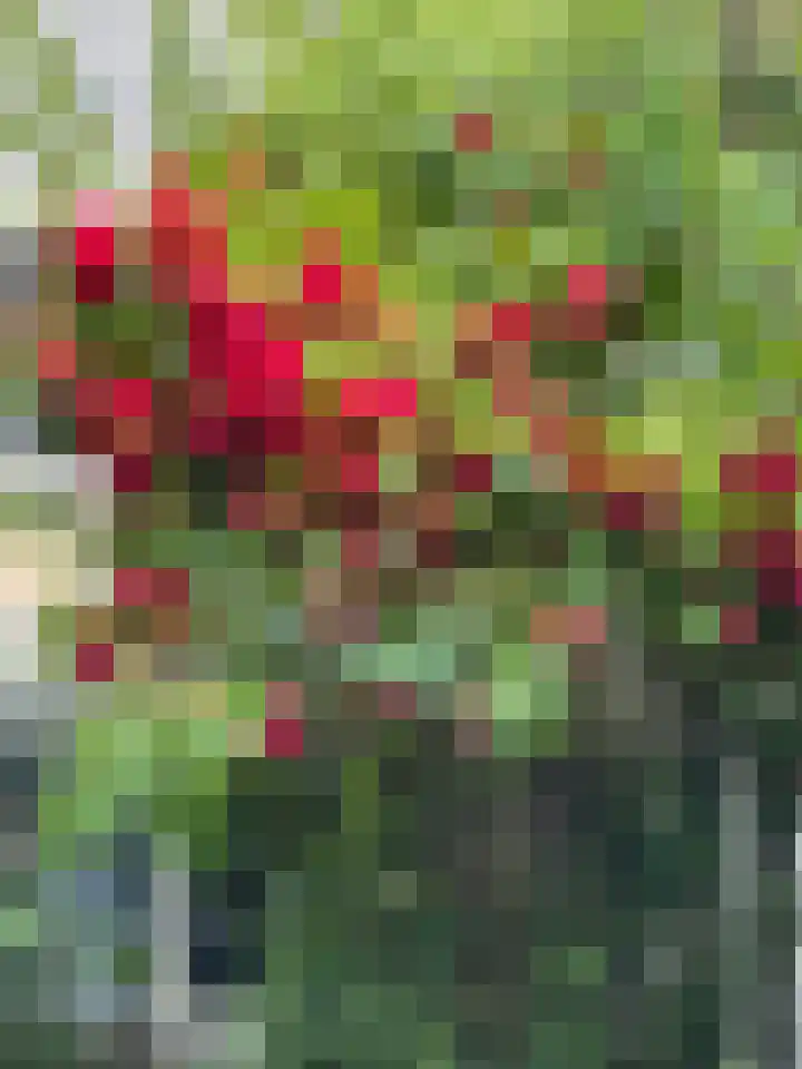 Kernkampplantsoen 91 Utrecht thumbnail 50