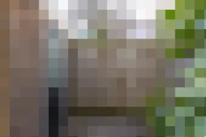 Kernkampplantsoen 91 Utrecht thumbnail 51