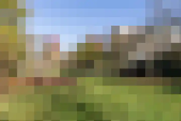 Kernkampplantsoen 91 Utrecht thumbnail 59