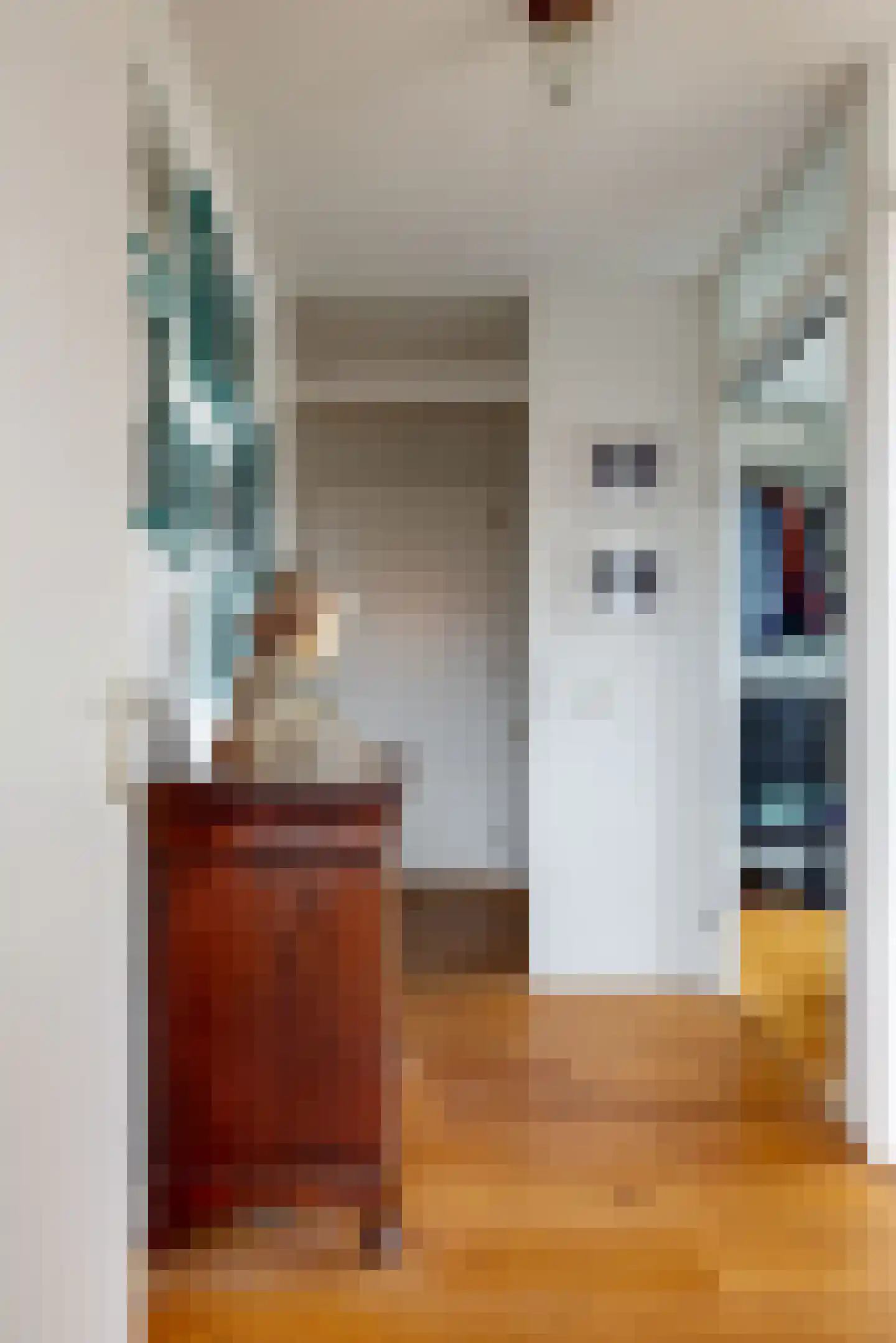 Kernstraat 15 D Leiden thumbnail 8