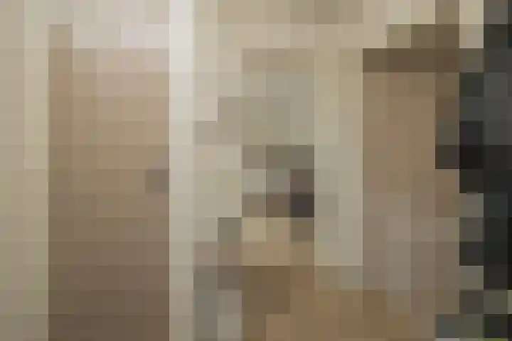 Kerpsdam 7 Warmond thumbnail 10