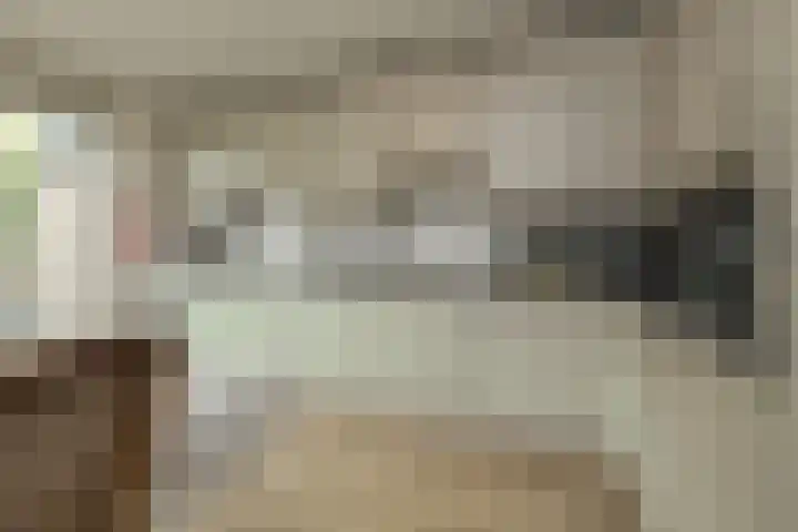 Kerpsdam 7 Warmond thumbnail 11