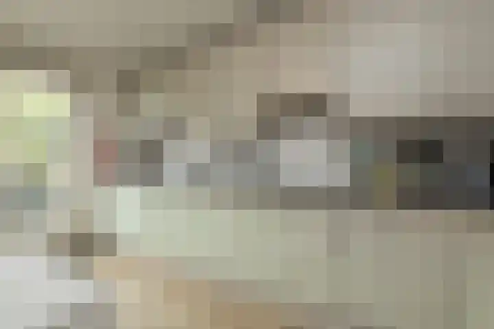 Kerpsdam 7 Warmond thumbnail 12