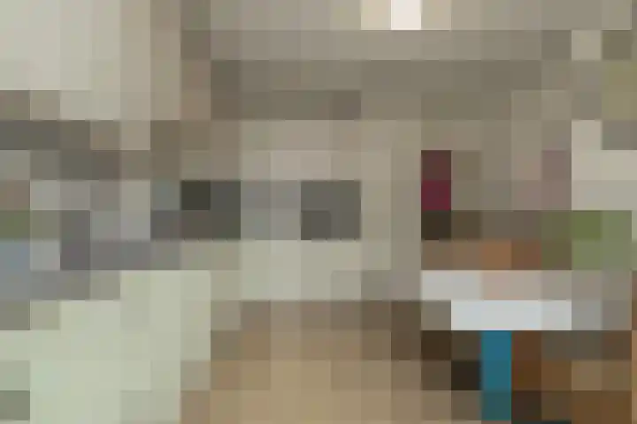Kerpsdam 7 Warmond thumbnail 13