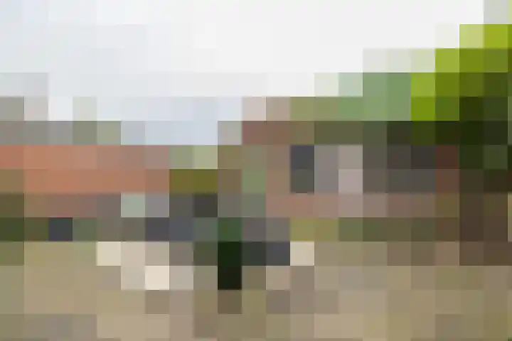 Kerpsdam 7 Warmond thumbnail 16