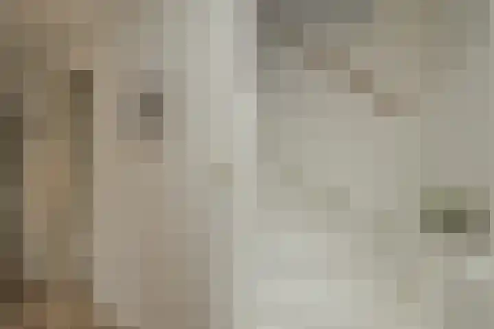 Kerpsdam 7 Warmond thumbnail 21