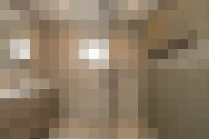 Kerpsdam 7 Warmond thumbnail 22