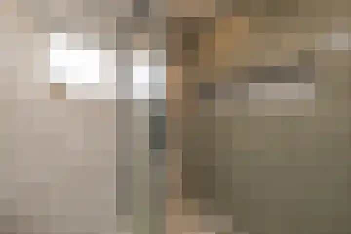 Kerpsdam 7 Warmond thumbnail 24
