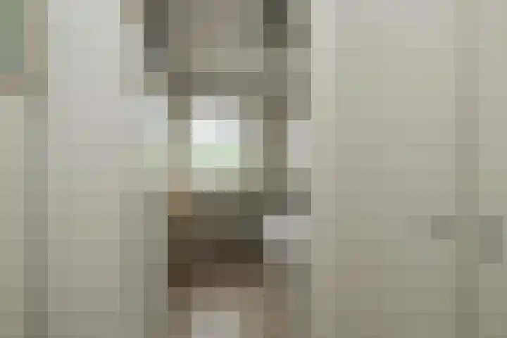 Kerpsdam 7 Warmond thumbnail 25