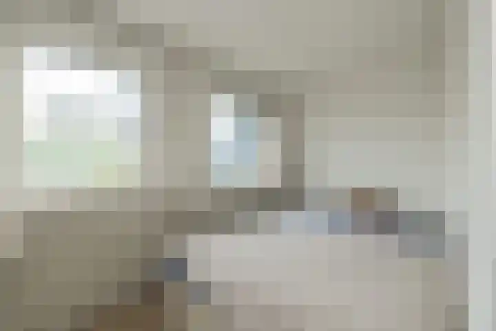 Kerpsdam 7 Warmond thumbnail 26