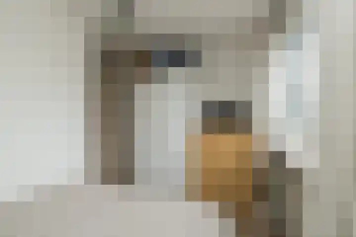 Kerpsdam 7 Warmond thumbnail 28