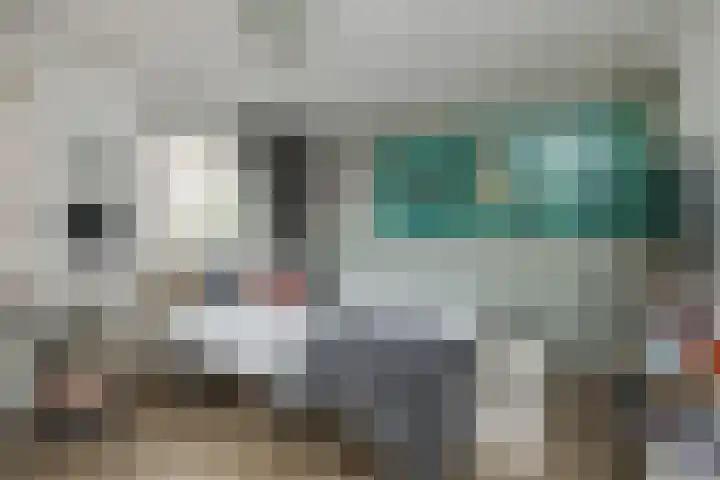 Kerpsdam 7 Warmond thumbnail 29
