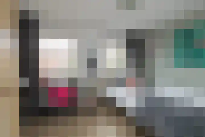 Kerpsdam 7 Warmond thumbnail 30