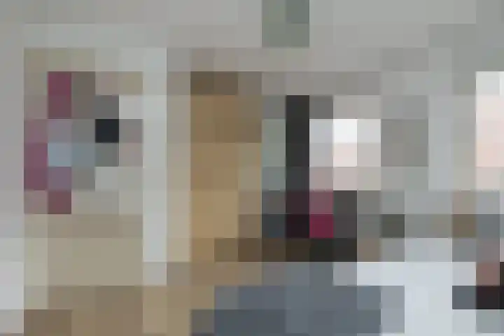Kerpsdam 7 Warmond thumbnail 32