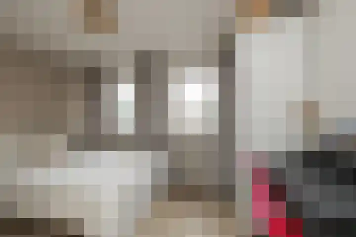 Kerpsdam 7 Warmond thumbnail 34