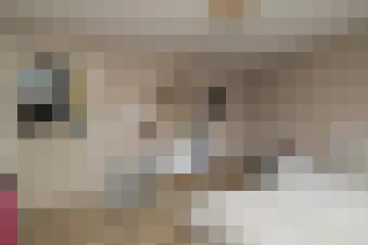 Kerpsdam 7 Warmond thumbnail 35