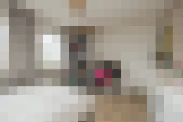 Kerpsdam 7 Warmond thumbnail 36