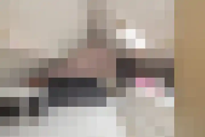 Kerpsdam 7 Warmond thumbnail 39