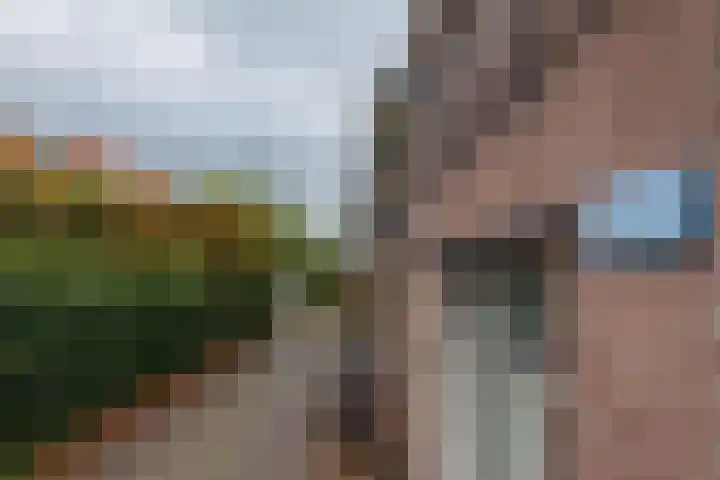 Kerpsdam 7 Warmond thumbnail 42