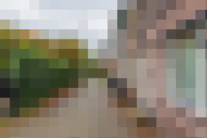 Kerpsdam 7 Warmond thumbnail 43