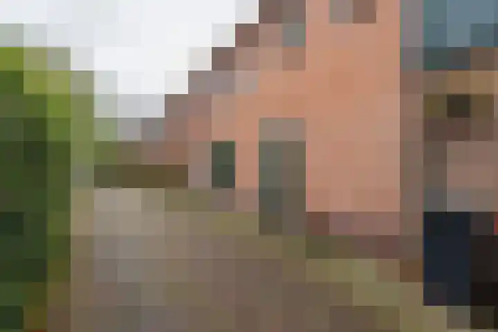 Kerpsdam 7 Warmond thumbnail 44
