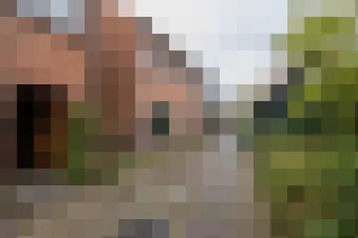 Kerpsdam 7 Warmond thumbnail 45