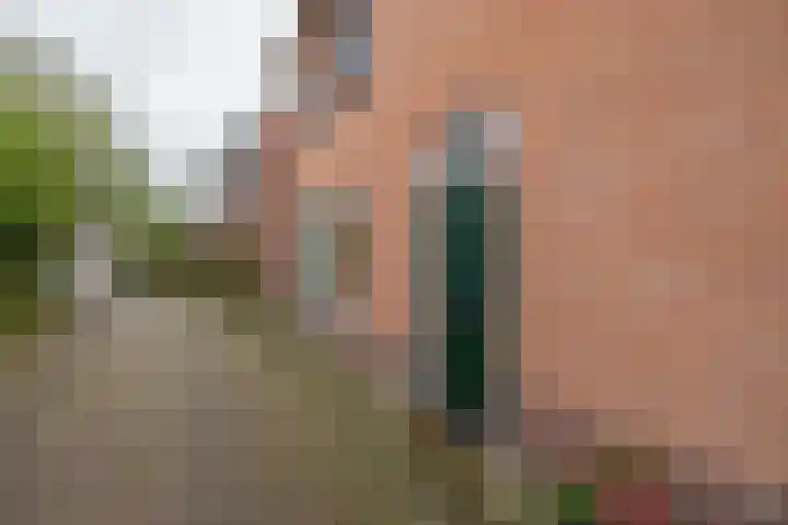 Kerpsdam 7 Warmond thumbnail 47