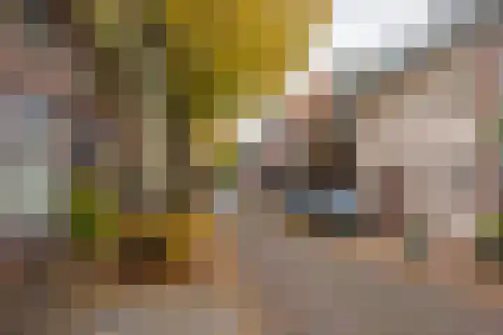 Kerpsdam 7 Warmond thumbnail 48