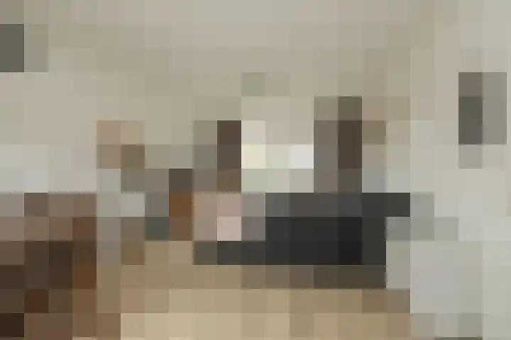 Kerpsdam 7 Warmond thumbnail 5